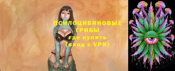стаф Белоозёрский