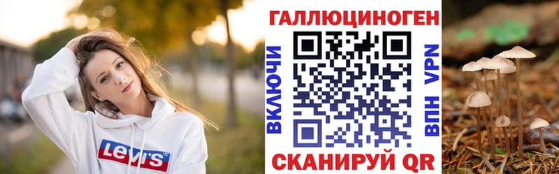 закладка  Армавир  Галлюциногенные грибы GOLDEN TEACHER 
