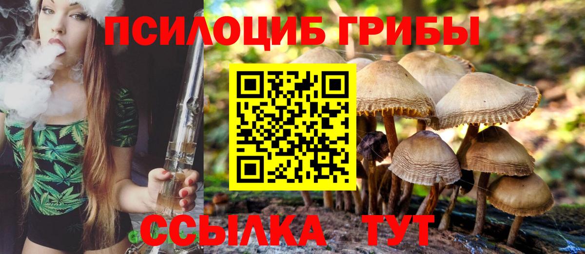 Галлюциногенные грибы прущие грибы Армавир