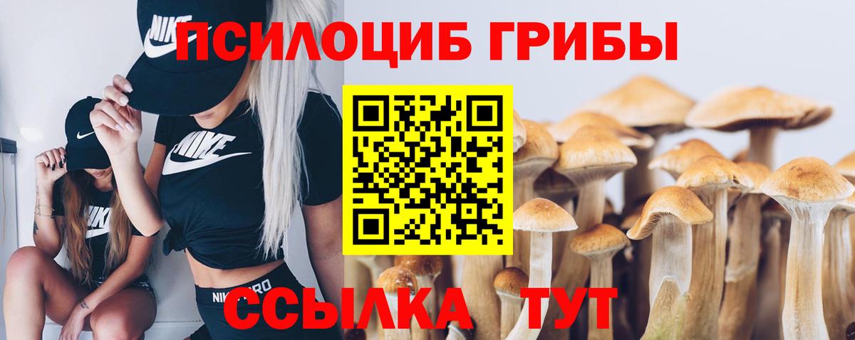 Псилоцибиновые грибы мицелий  Галлюциногенные грибы GOLDEN TEACHER  Вход с VPN  Армавир 